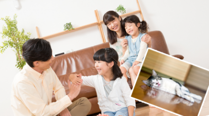 猫と家族 猫と家族