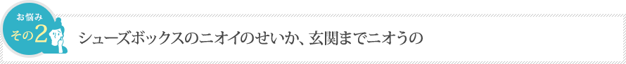 シューズボックスのニオイのせいか、玄関までニオうの シューズボックスのニオイのせいか、玄関までニオうの