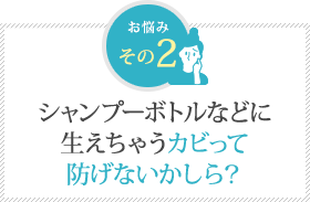 市やんぷーのとるなどに生えちゃうカビって防げないかしら? 市やんぷーのとるなどに生えちゃうカビって防げないかしら?