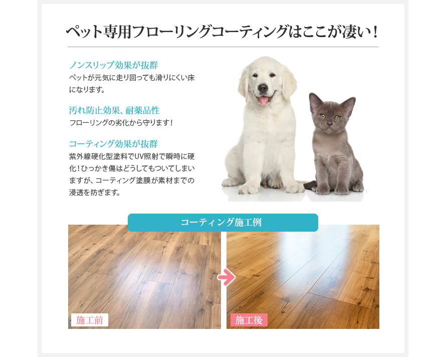 ペット専用フローリングコーティングはここが凄い! ペット専用フローリングコーティングはここが凄い!